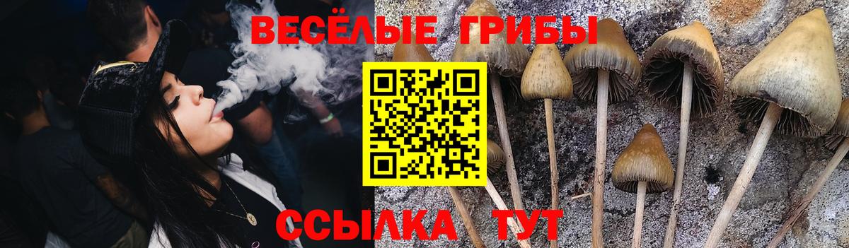 Галлюциногенные грибы MAGIC MUSHROOMS  Вход с VPN  Амурск 